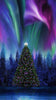 Christmas Tree Aurora Borealis Panel by Timeless