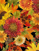 Fall Is In The Air - Packed Harvest Bouquets Metallic
