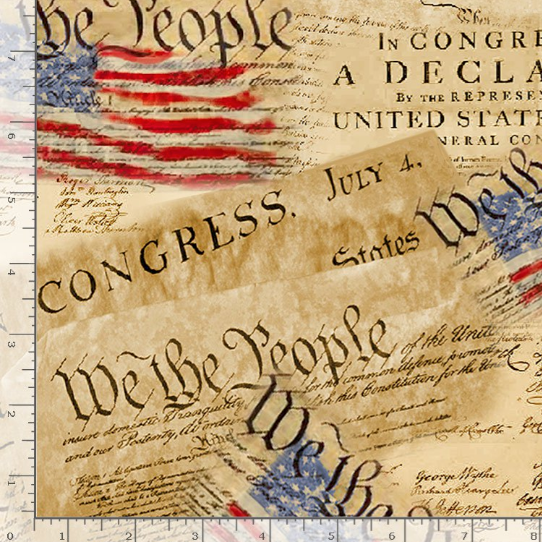 declaration of independence text we the people