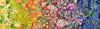 Wild Blossoms Rainbow - Wildflowers Rainbow Ombre