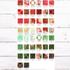 Holiday Flourish - Festive Finery Holiday Colorstory Charm Squares