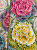 Kaffe Fassett Collective - Classics - Brassica Pastel Yardage