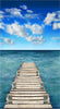 Scenic Sea Boardwalk Panel by Timeless Treasures