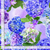 Hydrangea Bliss - Hydrangea Large Florals