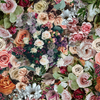 Serene Daydream - Rose by Hoffman Fabrics