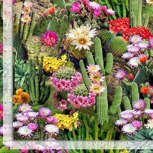 Southwest - Cactus Flowers Bloom by Timeless