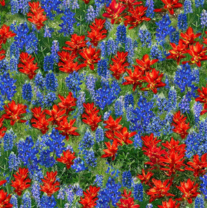Wild Flower - Bluebonnets and Indian Paintbrush