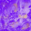 Bijoux - Metallic Texture Purple Fabric