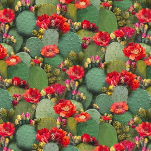 Southwest - Prickly Pear Cactus Fabric