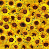 Sunflower Sunset - Packed Sunflowers Fabric