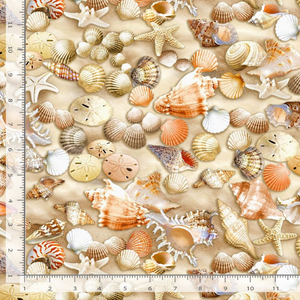 Beach Comber - Beachcomber Shells by Timeless