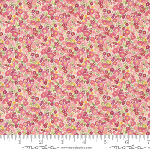 Chelsea Garden - Floral Cameo Fabric