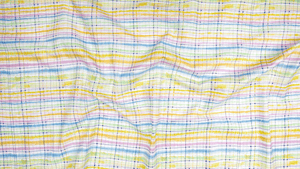 Bloom Bloom Butterfly - Picnic Blanket Rainbow