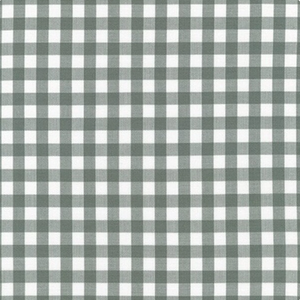 Kitchen Window Wovens - Gingham Shale Fabric