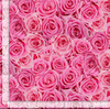 Bellerose - Packed Roses Yardage