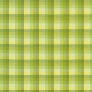 Kitchen Window Wovens - Yarn Dyed Check Plaid Zucchini Yardage