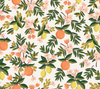 Primavera Citrus Floral Cream Fabric by Cotton + Steel | RP300-CR1
