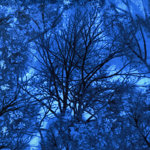 Electric Nature - Electric Trees on Blue by Timeless Treasures