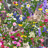 Cats Playing in Wildflowers by Timeless Treasures 