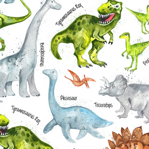 Dino Trek/Pre-Historic - Dinos and Names on White by Timeless Treasures