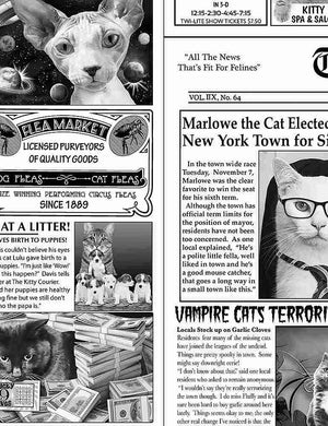 Cat Lady - Purr-fect Hangout - Cat Newspaper