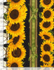 Sunflower Farm 11" Sunflower Stripe by Timeless Treasures | Florals