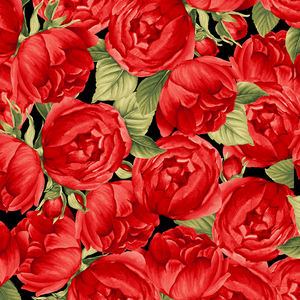 Garden Rose - Medium Red Roses on Black