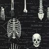 Glow in the Dark Skeletons by Timeless Treasures