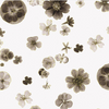 Floral Impressions Pressed Floral Ivory Gold Metallic 8678M-01 by Benartex