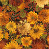 Fall Glory - Harvest Flower - Timeless Treasure