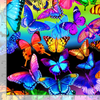 Rainbow Butterfly - Bright Rainbow Butterflies Flight by Timeless Treasures