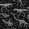 Dino Trek - Glow in the Dark Dinosaur Skeletons by Timeless Treasures