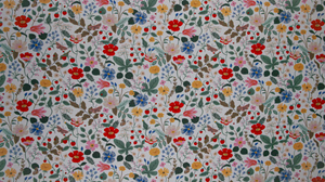 Strawberry Fields - Floral Ivory Fabric by Cotton + Steel | RP400-IV4