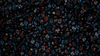 Strawberry Fields - Hawthorne Black Fabric by Cotton + Steel | RP401-BK1