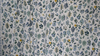 Strawberry Fields - Hawthorne Periwinkle Fabric by Cotton + Steel | RP401-PE3