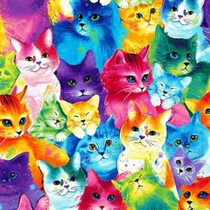 Meow-Za! - Painted Bright Cats fabric by Timeless Treasures