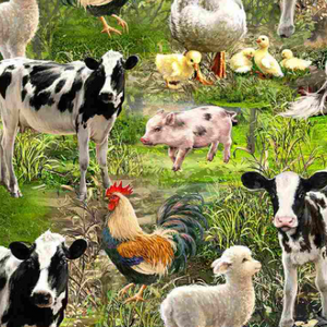 Farm Life - Allover Farm Animals by Timeless Treasures