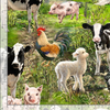 Farm Life - Allover Farm Animals by Timeless Treasures 