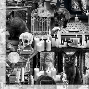 Wicked Fog - Black Cats in Haunted Houses by Timeless Treasures