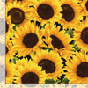 Flower Farm/Hen House Packed Sunflowers by Timeless Treasures 