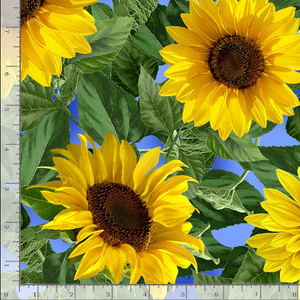 Sunflower Sunset - Large Leafy Sunflowers