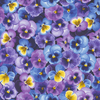 Pansy Paradise-Packed Pansies by Timeless Treasures