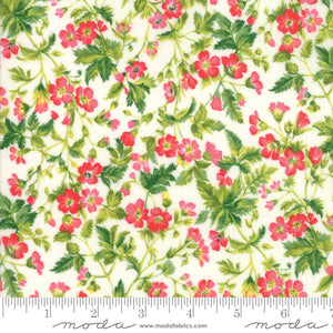 Moda Fabrics - Wildflowers IX Linen - Dogwood Blossom White
