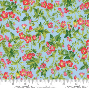 Moda Fabrics - Wildflowers IX Bluebell - Dogwood Blossom Light Blue