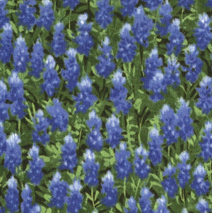 Wildflowers - Best Of Texas - Summer Bluebonnets