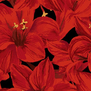 Holidays Remembered - Poinsettias Red