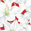 Holidays Remembered - Poinsettias White